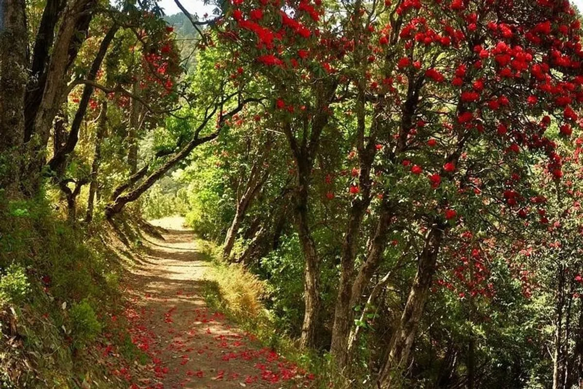 Kaflani Day Hike